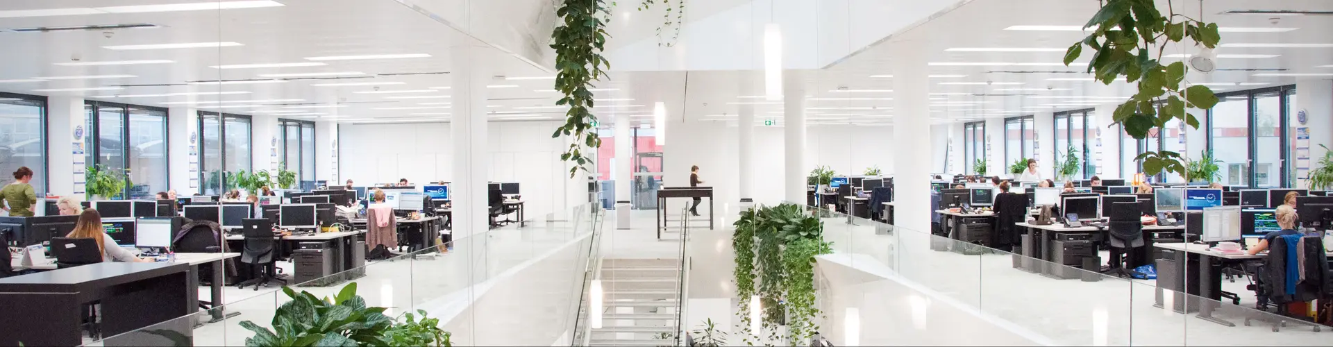 WALTER GROUP (LKW WALTER/CONTAINEX) cover